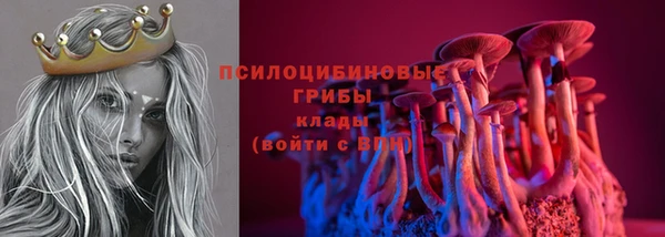 гидра Абинск