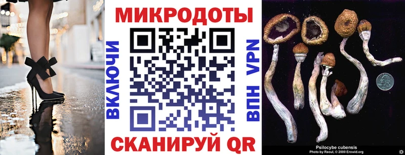 где можно купить наркотик  KRAKEN вход  Галлюциногенные грибы ЛСД  Ивантеевка 