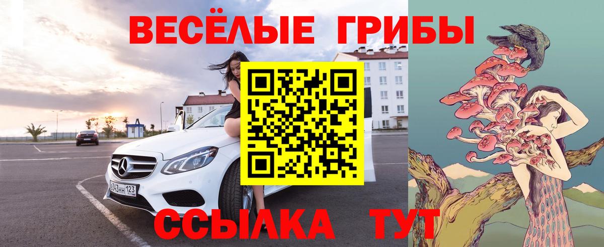 Галлюциногенные грибы Psilocybe  Вход с VPN  продажа наркотиков  Ивантеевка  Псилоцибиновые грибы MAGIC MUSHROOMS 